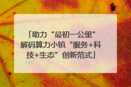 助力“最初一公里” 解码算力小镇“服务+科技+生态”创新范式