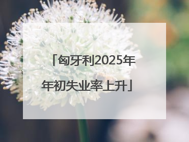 匈牙利2025年年初失业率上升