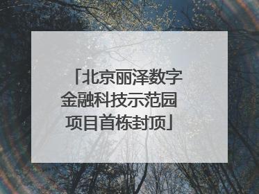 北京丽泽数字金融科技示范园项目首栋封顶
