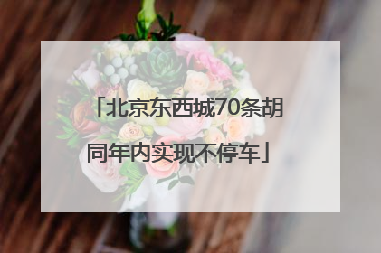 北京东西城70条胡同年内实现不停车