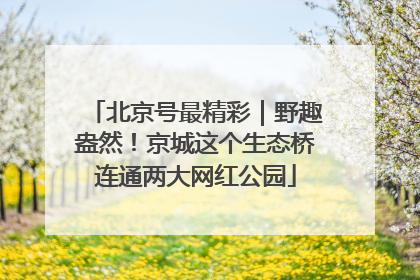 北京号最精彩｜野趣盎然！京城这个生态桥连通两大网红公园