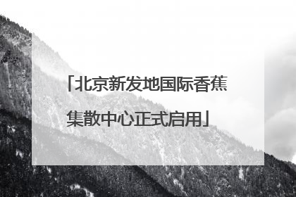 北京新发地国际香蕉集散中心正式启用