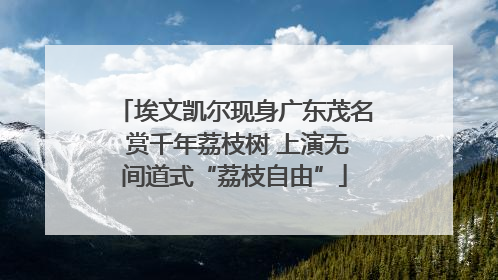 埃文凯尔现身广东茂名 赏千年荔枝树 上演无间道式“荔枝自由”