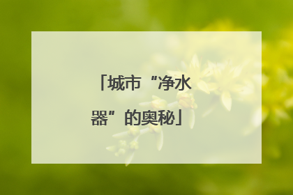 城市“净水器”的奥秘