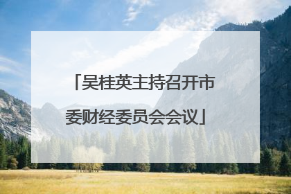 吴桂英主持召开市委财经委员会会议