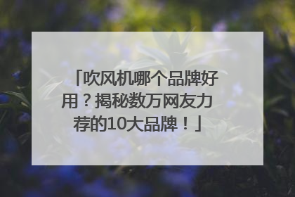 吹风机哪个品牌好用？揭秘数万网友力荐的10大品牌！