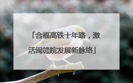 合福高铁十年路，激活闽赣皖发展新脉络