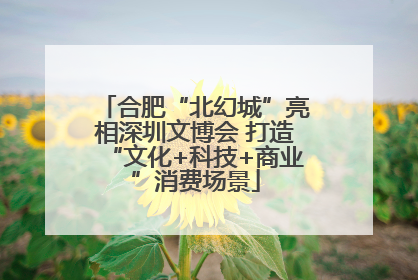 合肥“北幻城”亮相深圳文博会 打造“文化+科技+商业”消费场景