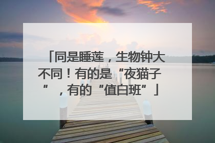 同是睡莲，生物钟大不同！有的是“夜猫子”，有的“值白班”