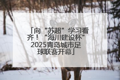 向“苏超”学习看齐！“海川建设杯”2025青岛城市足球联赛开幕