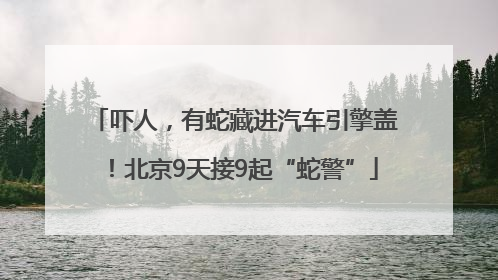 吓人，有蛇藏进汽车引擎盖！北京9天接9起“蛇警”