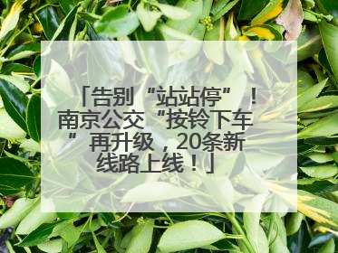 告别“站站停”！南京公交“按铃下车”再升级，20条新线路上线！