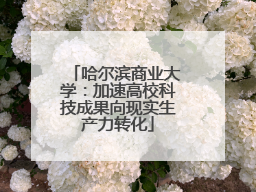 哈尔滨商业大学：加速高校科技成果向现实生产力转化