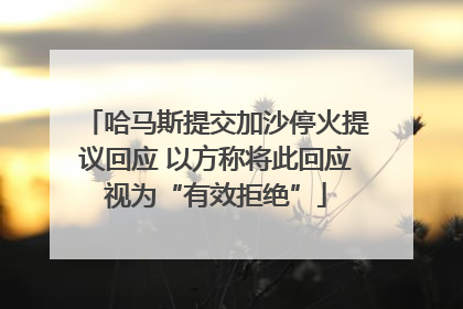 哈马斯提交加沙停火提议回应 以方称将此回应视为“有效拒绝”