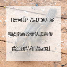 唐河县马振抚镇开展民族宗教政策法规宣传 营造团结和谐氛围