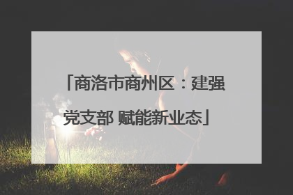 商洛市商州区：建强党支部 赋能新业态