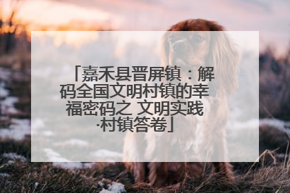 嘉禾县晋屏镇：解码全国文明村镇的幸福密码之 文明实践·村镇答卷