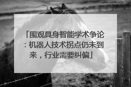 围观具身智能学术争论：机器人技术拐点仍未到来，行业需要纠偏