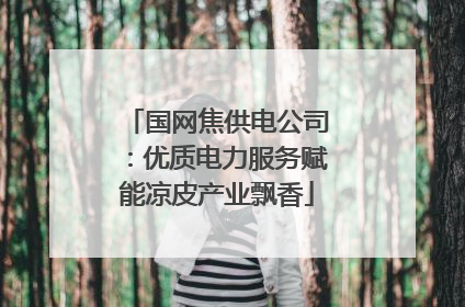 国网焦供电公司：优质电力服务赋能凉皮产业飘香
