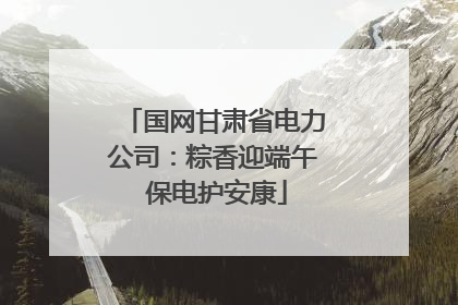 国网甘肃省电力公司：粽香迎端午 保电护安康
