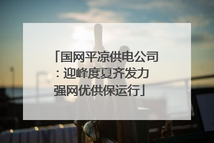 国网平凉供电公司：迎峰度夏齐发力 强网优供保运行