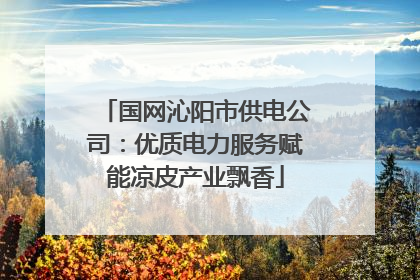 国网沁阳市供电公司：优质电力服务赋能凉皮产业飘香