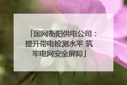 国网衡阳供电公司：提升带电检测水平 筑牢电网安全屏障