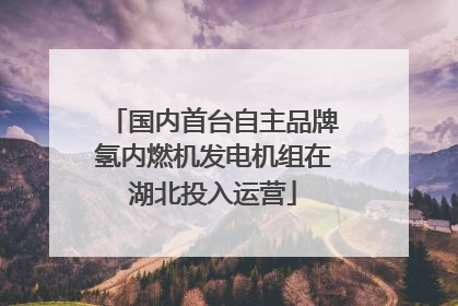 国内首台自主品牌氢内燃机发电机组在湖北投入运营