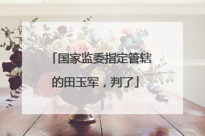 国家监委指定管辖的田玉军，判了