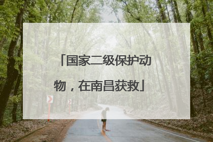 国家二级保护动物，在南昌获救