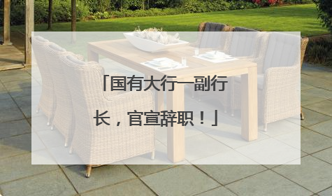国有大行一副行长，官宣辞职！