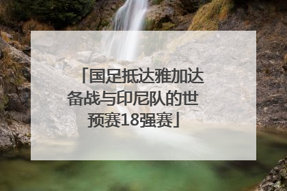 国足抵达雅加达备战与印尼队的世预赛18强赛