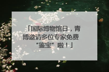国际博物馆日，青博邀请多位专家免费“鉴宝”啦！