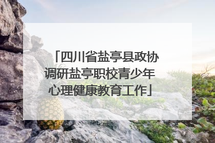 四川省盐亭县政协调研盐亭职校青少年心理健康教育工作