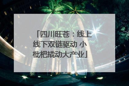 四川旺苍：线上线下双链驱动 小枇杷撬动大产业