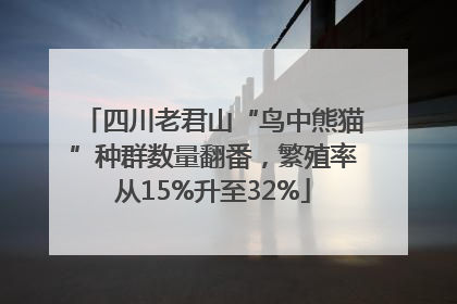 四川老君山“鸟中熊猫”种群数量翻番，繁殖率从15%升至32%