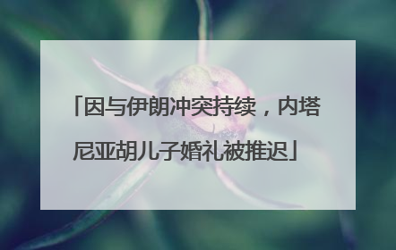 因与伊朗冲突持续，内塔尼亚胡儿子婚礼被推迟