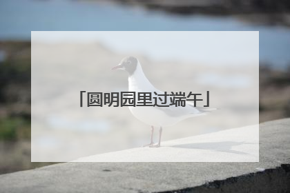 圆明园里过端午