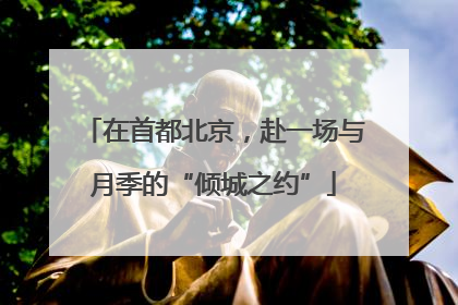 在首都北京，赴一场与月季的“倾城之约”