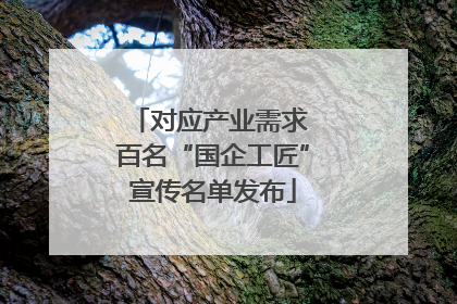 对应产业需求 百名“国企工匠”宣传名单发布