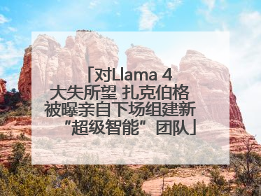 对Llama 4大失所望 扎克伯格被曝亲自下场组建新“超级智能”团队