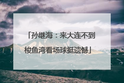 孙继海：来大连不到梭鱼湾看场球挺遗憾