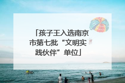 孩子王入选南京市第七批“文明实践伙伴”单位