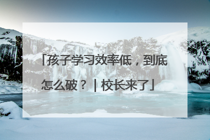 孩子学习效率低，到底怎么破？｜校长来了