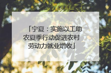宁夏：实施以工助农夏季行动促进农村劳动力就业增收