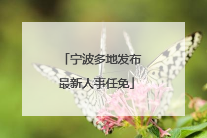 宁波多地发布最新人事任免