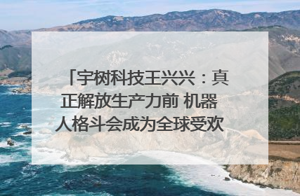 宇树科技王兴兴：真正解放生产力前 机器人格斗会成为全球受欢迎的赛事｜科技观察