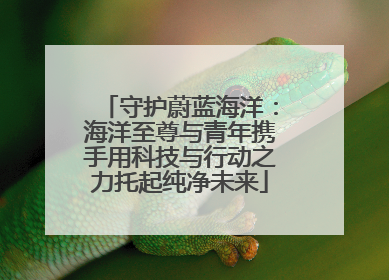 守护蔚蓝海洋：海洋至尊与青年携手用科技与行动之力托起纯净未来