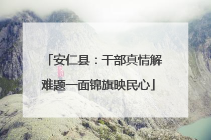 安仁县：干部真情解难题一面锦旗映民心