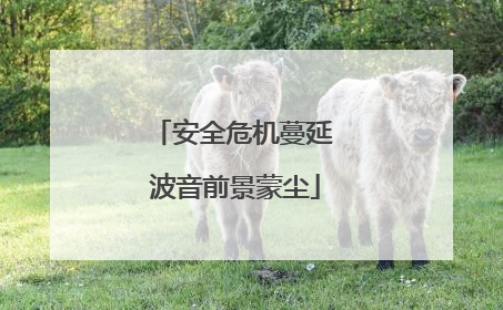 安全危机蔓延 波音前景蒙尘